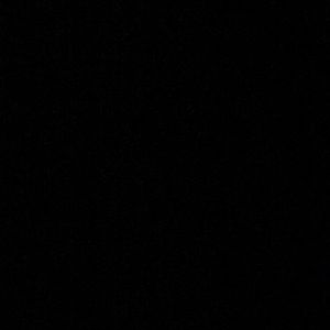 Meet your Posher, Bella